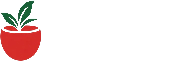 POTS28