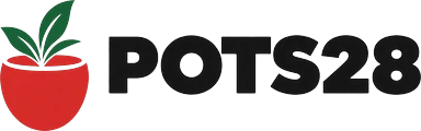 POTS28
